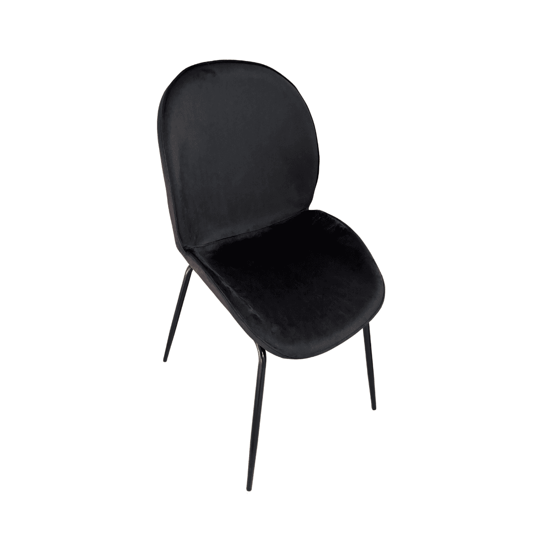 Silla Beetle Black