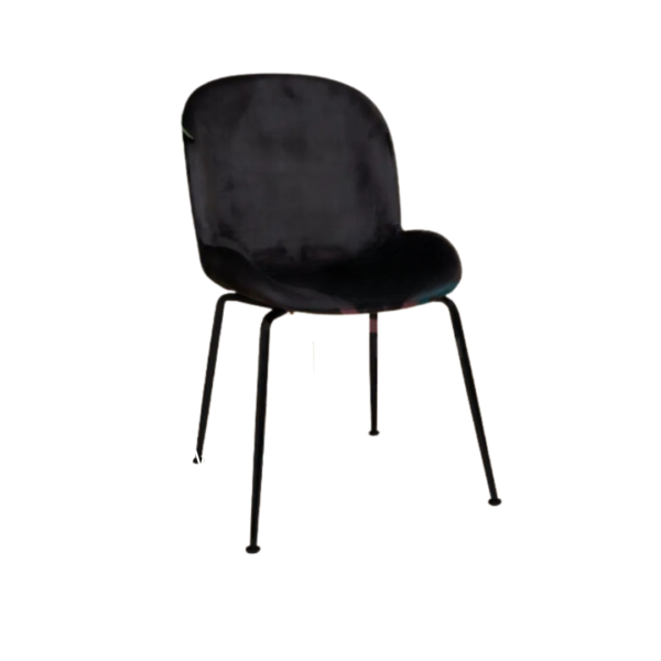 Silla Beetle Black